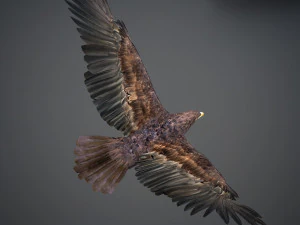 Animated Golden Eagle v2 3D Model