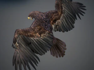 Animated Golden Eagle v2 3D Model