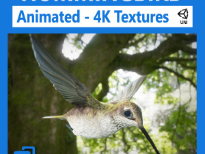 hummingbird animated unity 3D Model