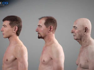 Aging man 3D Model