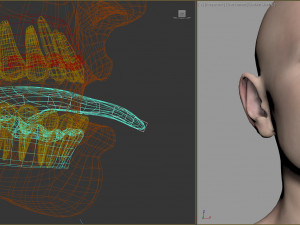 aging man Model 3D
