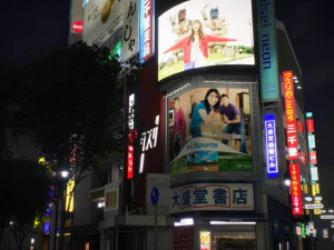 Tokyo shibuya block 3 3D Model