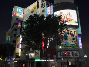 Tokyo shibuya block 3 3D Model