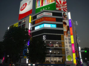 Tokyo shibuya block 5 3D Model