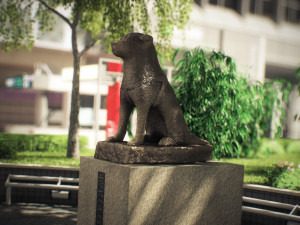 Tokyo shibuya block 8 hachiko Model 3D