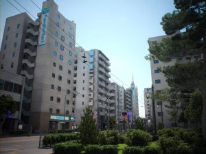 Japan - 4 blocks 1 3D Model