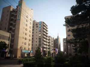 Japan - 4 blocks 1 3D Model