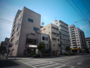 Japan - 4 blocks 1 3D Model