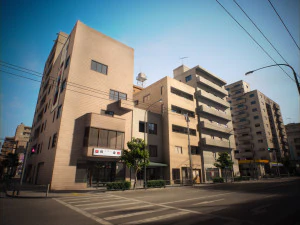 Japan - 4 blocks 1 3D Model