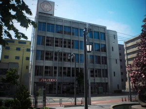 Japan - 4 blocks 2 3D Model