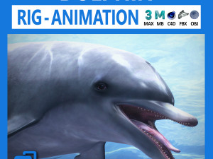 animated bottlenose dolphin 3D Model