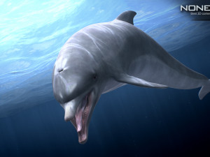 animated bottlenose dolphin Modelo 3D