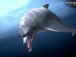 Animated bottlenose dolphin 3D Model