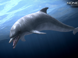 animated bottlenose dolphin Modelo 3D
