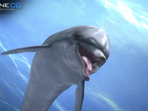 Animated bottlenose dolphin 3D Model