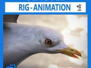 animated seagull unity 3D Model
