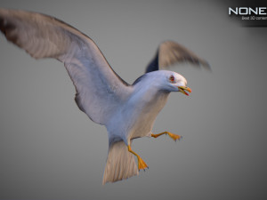 Animated seagull Modello 3D