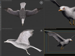 Animated seagull Modello 3D