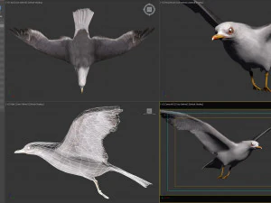 Animated seagull 3D Model
