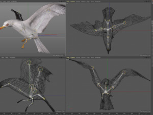 Animated seagull Modello 3D