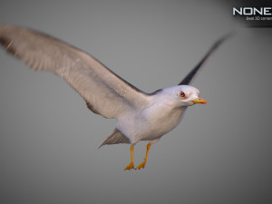 Animated seagull Modello 3D