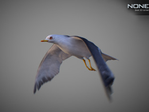 Animated seagull Modello 3D