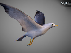 Animated seagull Modello 3D