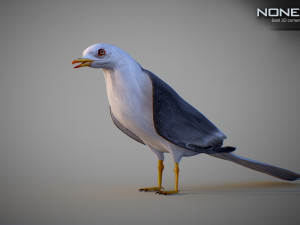 Animated seagull Modello 3D
