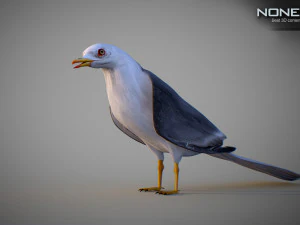 Animated seagull 3D Model