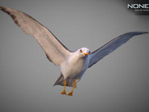 Animated seagull Modello 3D
