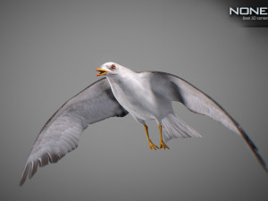 Animated seagull Modello 3D