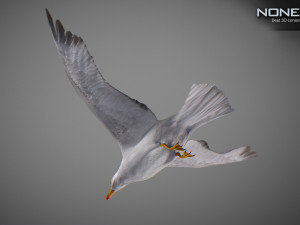 Animated seagull Modello 3D