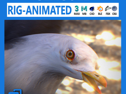 Animated seagull Model 3D