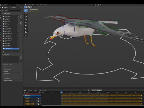 Animated seagull 3D Model