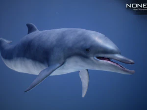 animated dolphin unity 3D Model