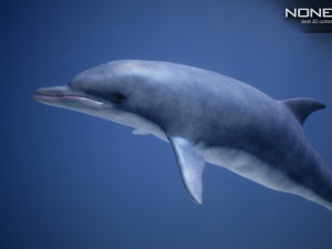 animated dolphin unity Modello 3D