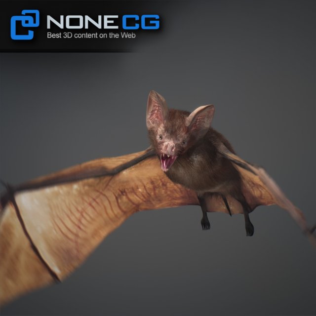 animated bat Free 3D Model in Bird 3DExport