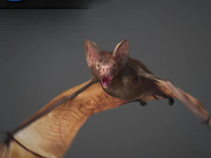 Animated bat 3D Model