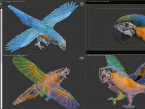 Blue parrot animated 3D Model