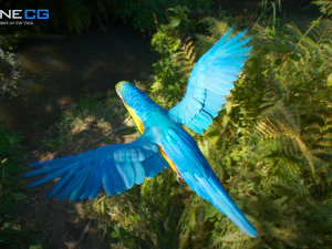 Blue parrot animated 3D Model