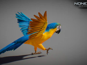 Blue parrot animated 3D Model