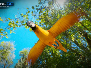 Blue parrot animated 3D Model