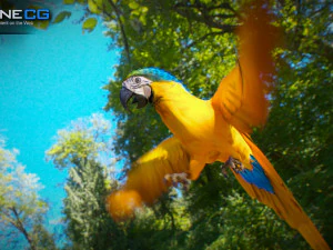 Blue parrot animated 3D Model