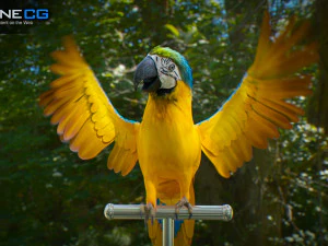 Blue parrot animated 3D Model
