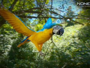 Blue parrot animated 3D Model