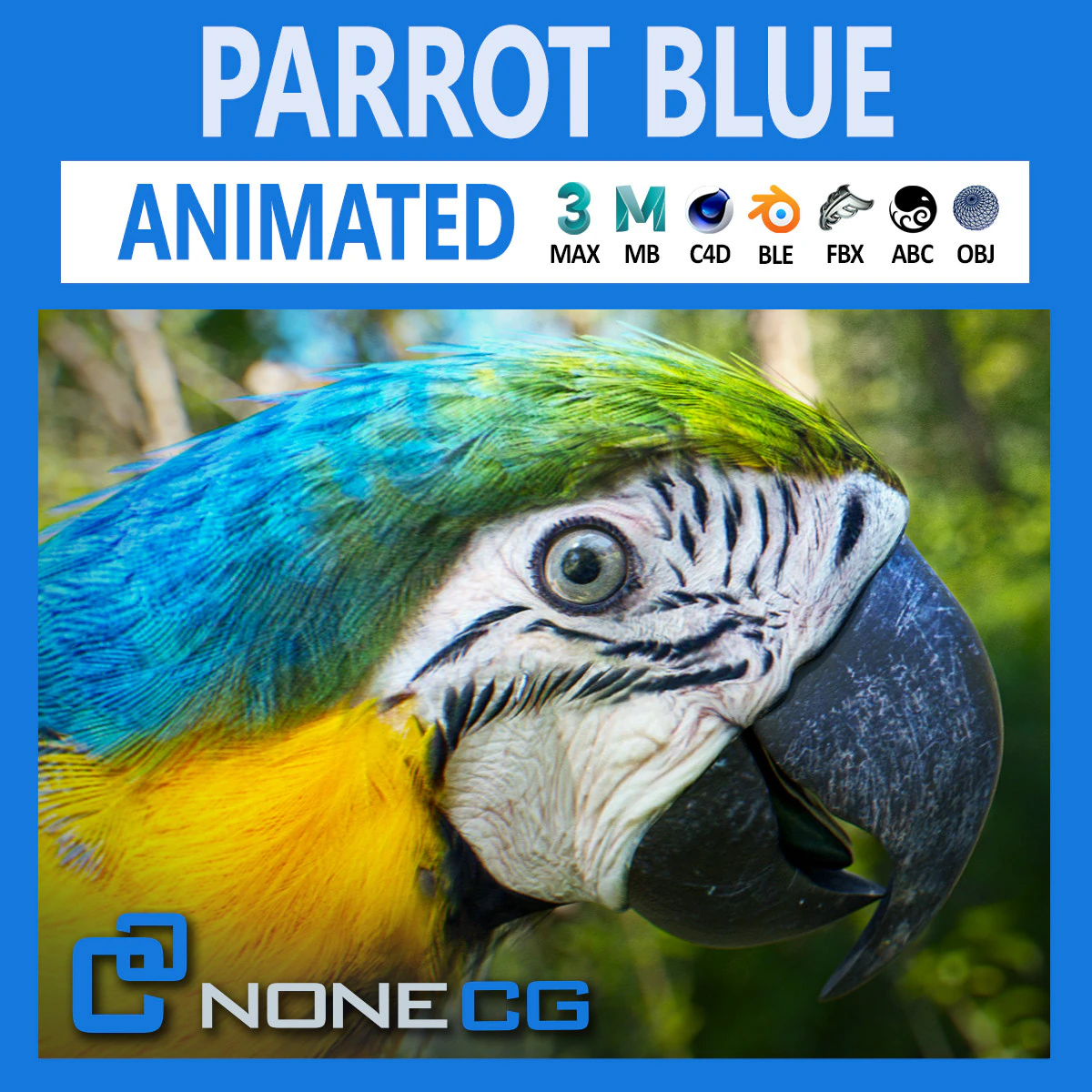 Blue parrot animated 3D Model .c4d .max .obj .3ds .fbx .stl .blend 
