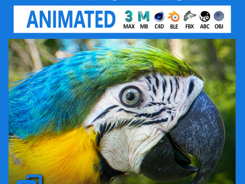 Blue parrot animated 3D-Modell