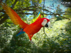 Red parrot animated 3D Model