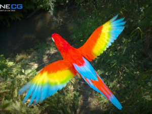 Red parrot animated 3D Model