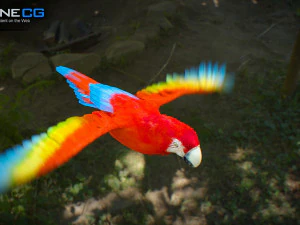 Red parrot animated 3D Model